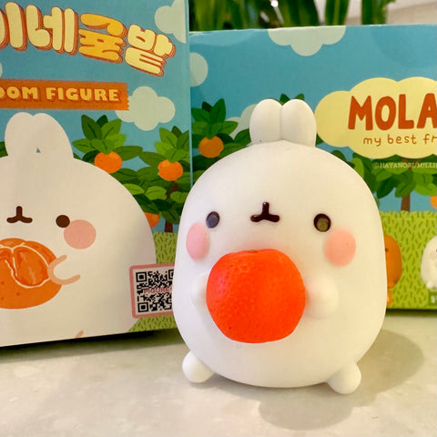 Molang Orange and Citrus Blind Box Series