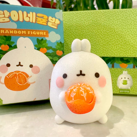 Molang Orange and Citrus Blind Box Series