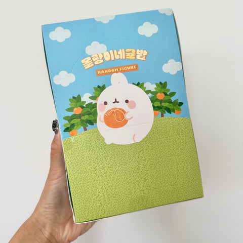 Molang Orange and Citrus Blind Box Series