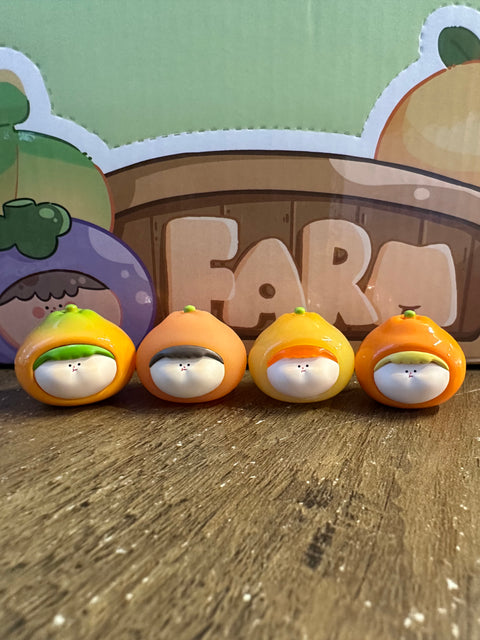 Amlls Mini Fruit Market Blind Bag Series