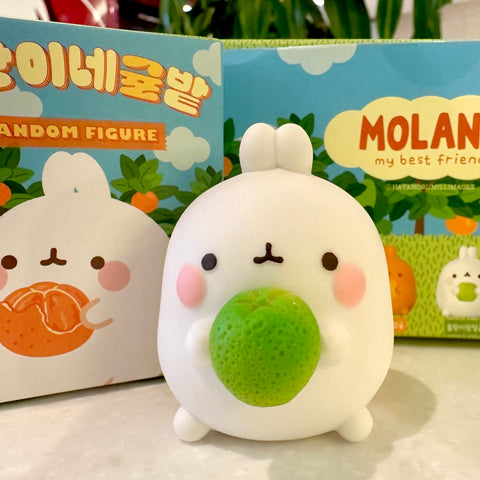 Molang Orange and Citrus Blind Box Series