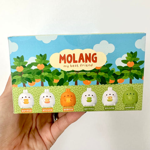 Molang Orange and Citrus Blind Box Series