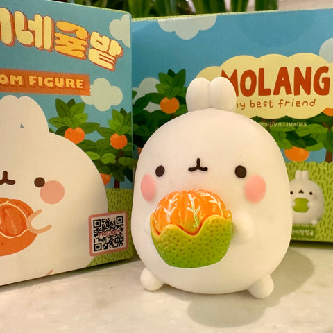 Molang Orange and Citrus Blind Box Series