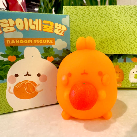 Molang Orange and Citrus Blind Box Series