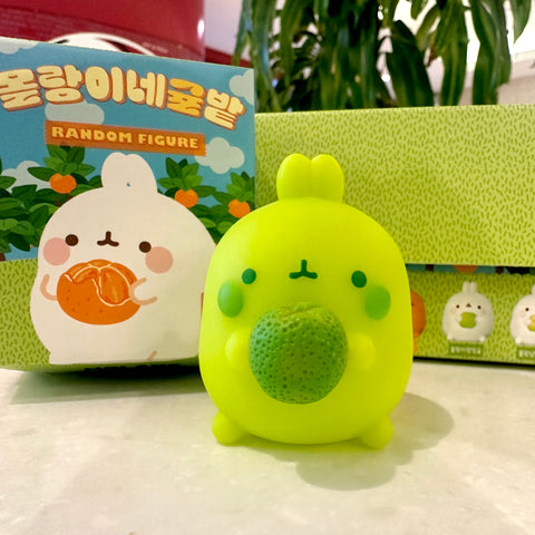 Molang Orange and Citrus Blind Box Series